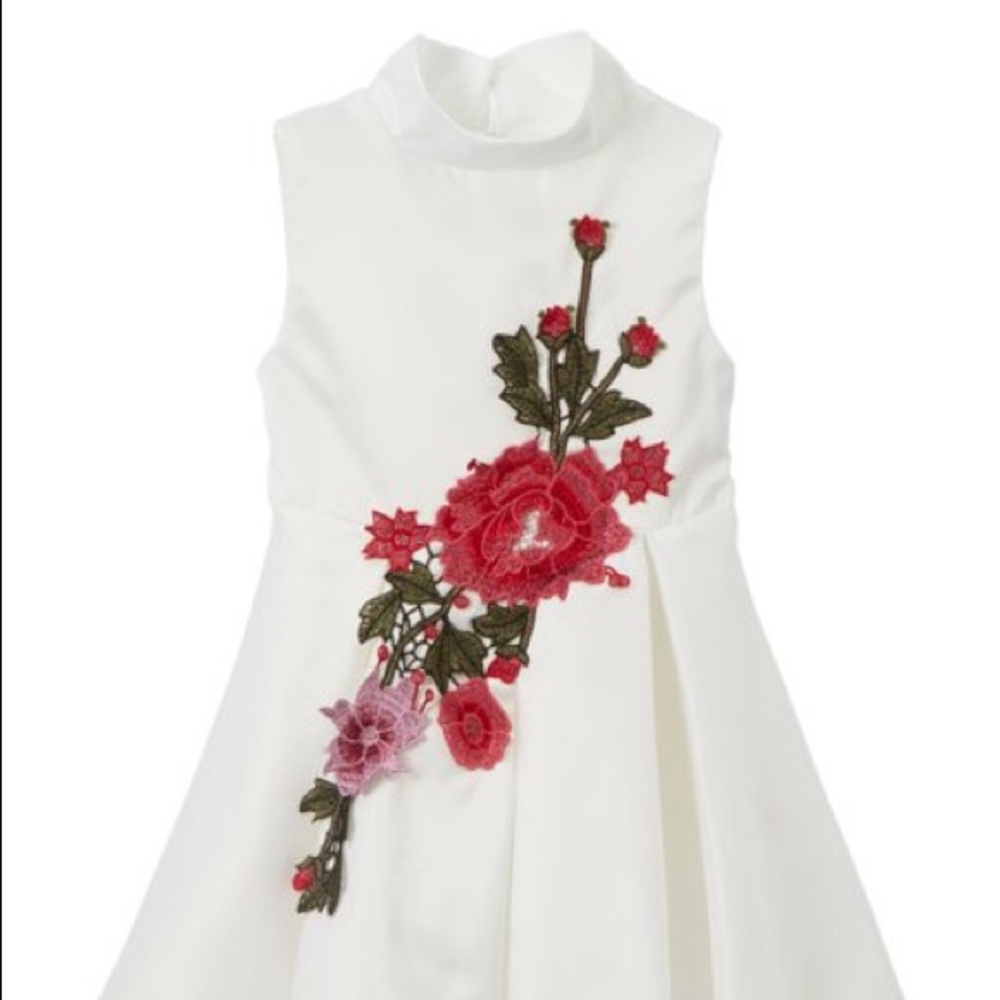 Dress - Picture 4 of 5